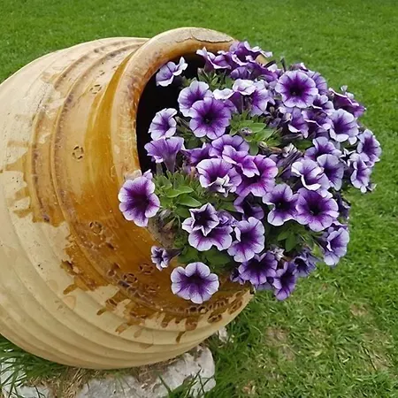 Marathon & Apartmán *